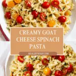Creamy Goat Cheese Spinach Pasta Recipe