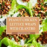 Peanut Chicken Lettuce Wraps with Cilantro Lime Rice Recipe