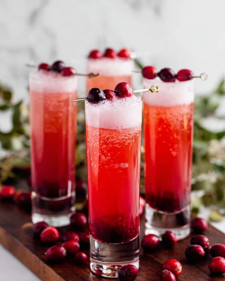 Cranberry Fizz Cocktail Recipe