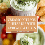 Creamy Cottage Cheese Dip Recipe