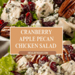 Cranberry Apple Pecan Chicken Salad Recipe