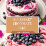 Blueberry Chocolate Cake Recipe