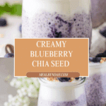 Blueberry Chia Seed Pudding Recipe